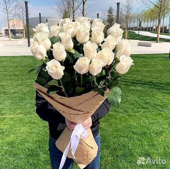 101 роза цветы букеты доставка 25 51 101 роза