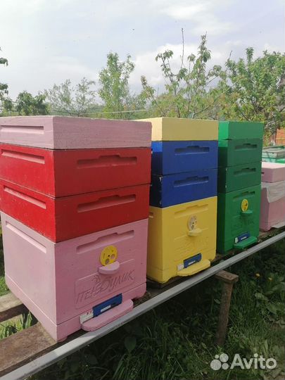 Улей для пчел бу