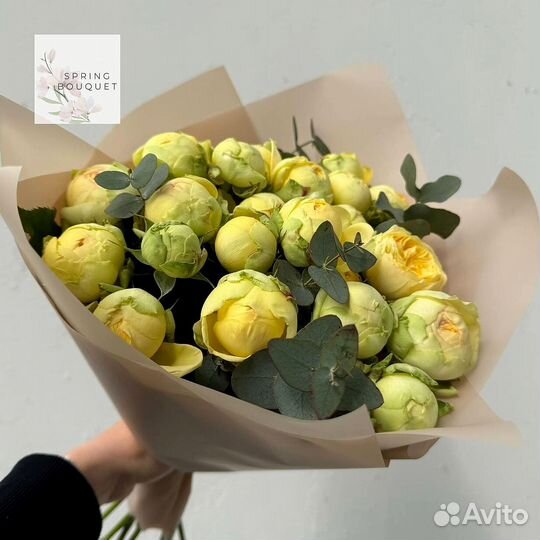 Свежие цветы. Тюльпаны