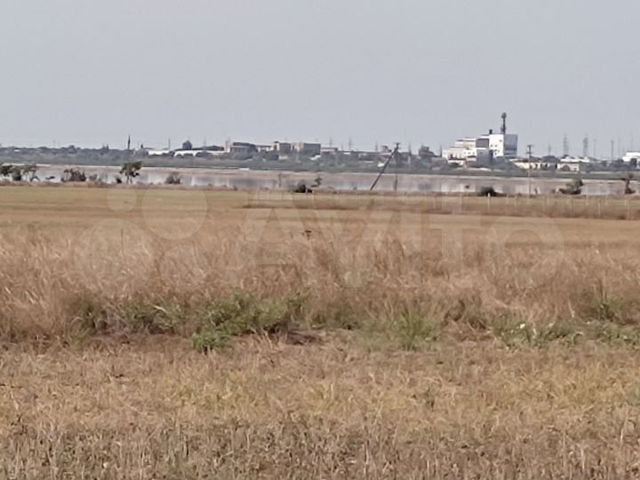 Участок 6 сот. (СНТ, ДНП)