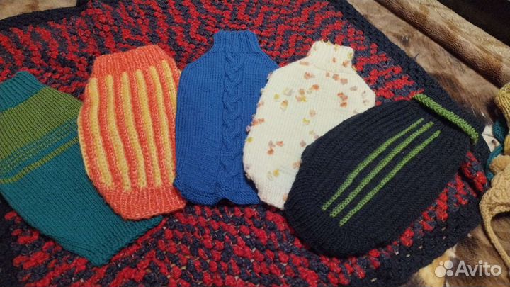 Одежда для животных