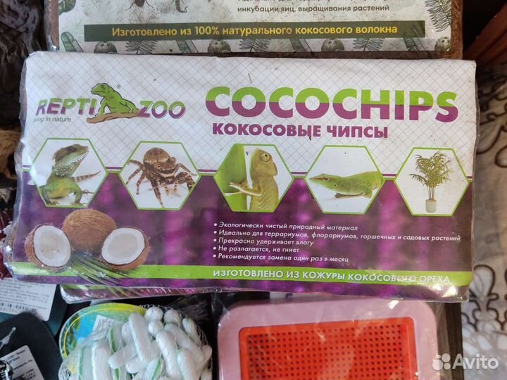 Грунт, кормушка, грот