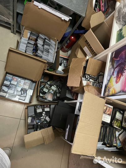 1000 случайных карт MTG + 10 редких + 1 фойл