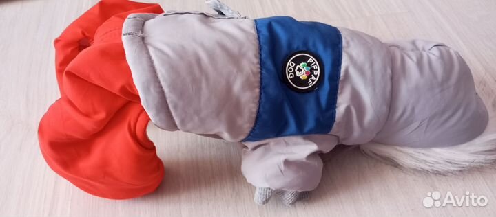 Комбинезон для маленькой собаки