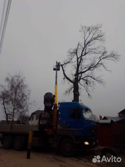 Спиливание аварийных деревьев, кронирование