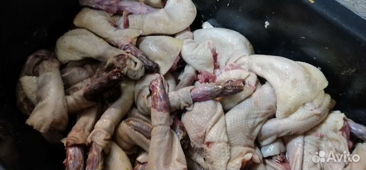 Гусиные шеи