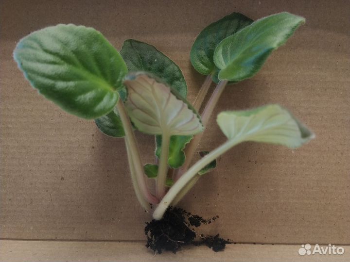 Форма для льда ананас