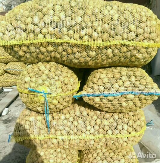 Грецкие орехи