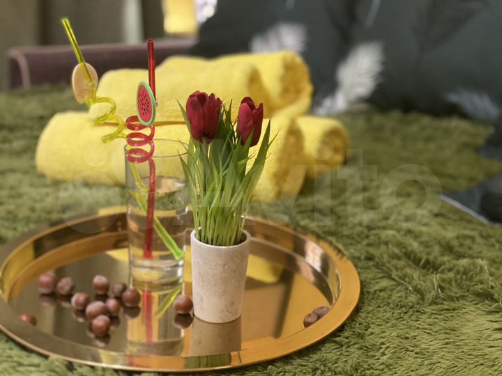 Квартира-студия, 25 м², 16/17 эт.