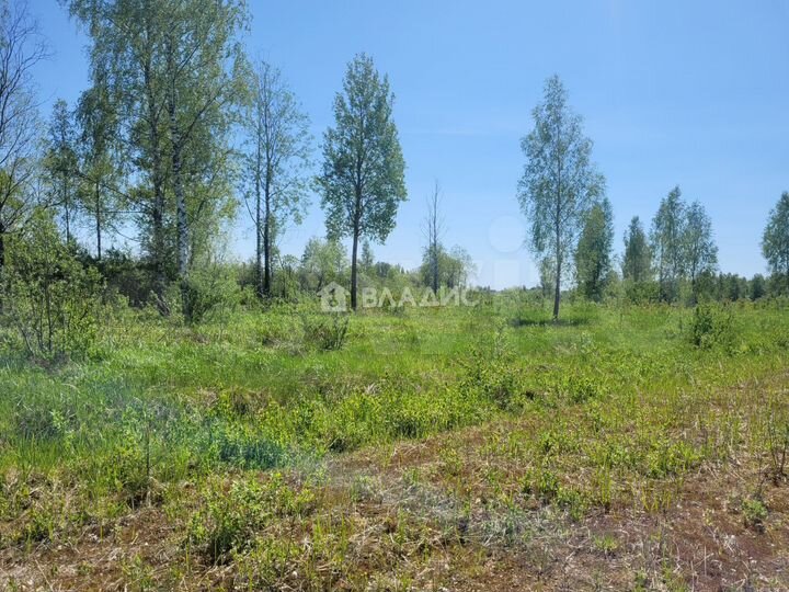 Участок 4 га (ИЖС)