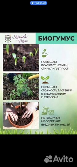 Биогумус,Натуральное Удобрение,Просеянное