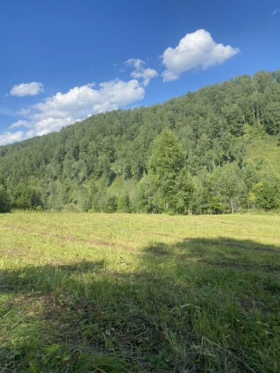 Участок 3 га (СНТ, ДНП)