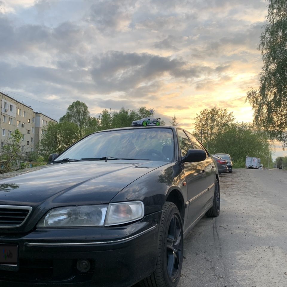Honda Accord: фото владельца