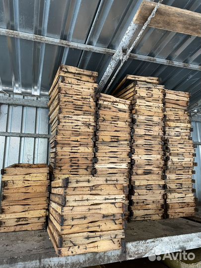 Рамки для ульев б/у