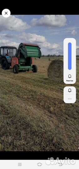 Сено люцерны в тюках