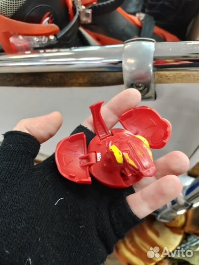 Лот на папуганв