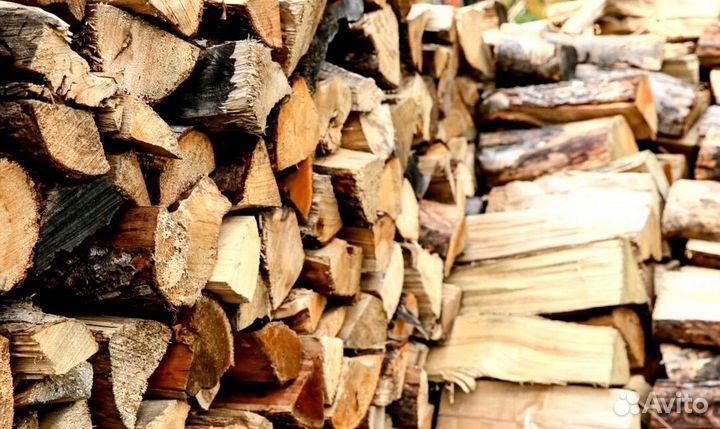 Дрова Береза