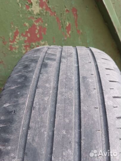 Maxxis Premitra HP5 205/55 R16