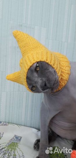 Шапочки для кошек и собак мелких пород