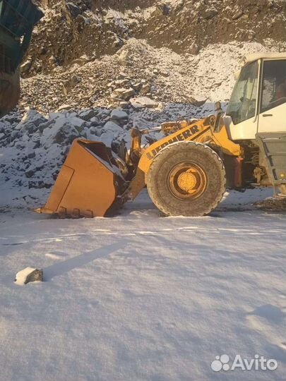 Фронтальный погрузчик Liebherr L 556 Xpower, 2011