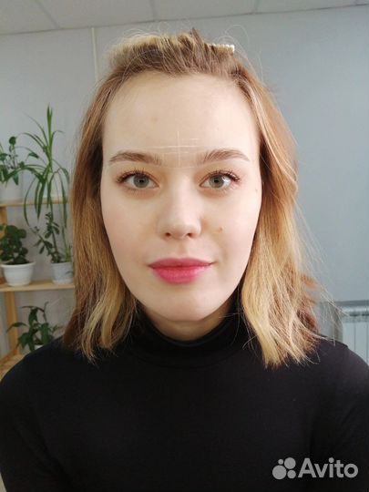 Мастер бровист