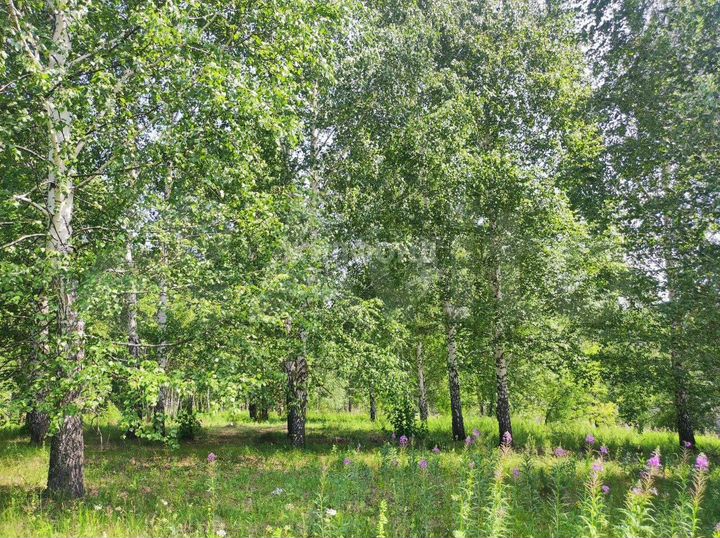 Участок 7 сот. (ИЖС)