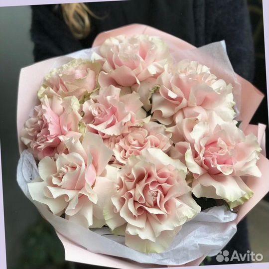 Французские розы ароматные