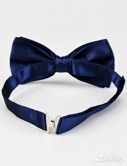 Бабочка мужская