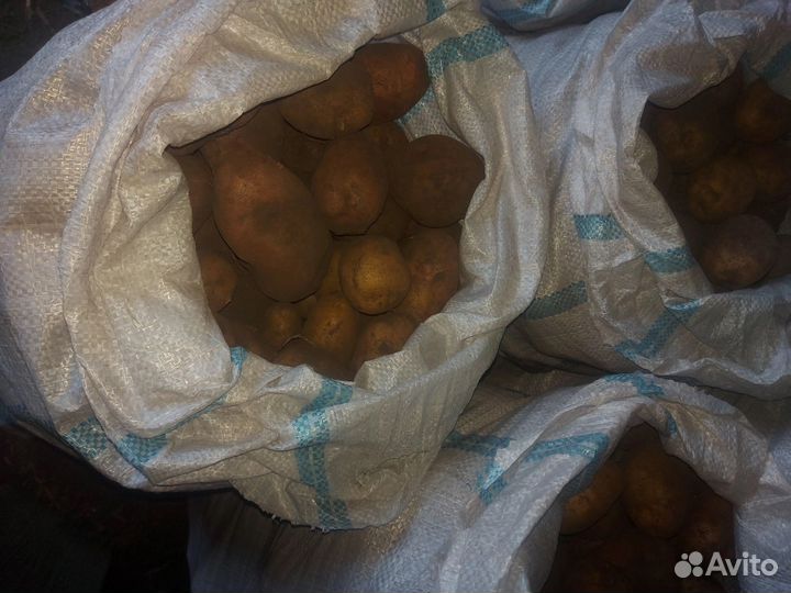 Картофель деревенский