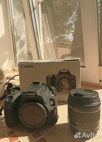 Зеркальный фотоаппарат canon 250d