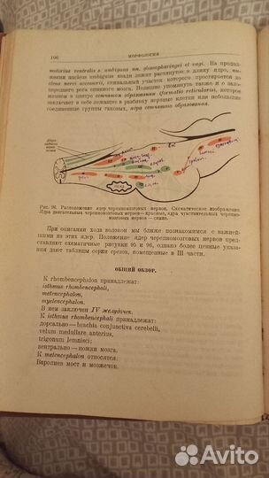 Антикварная книга по медицине