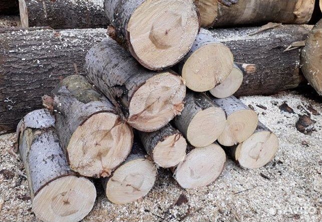 Сухая осина