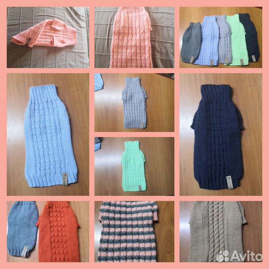 Одежда для животных