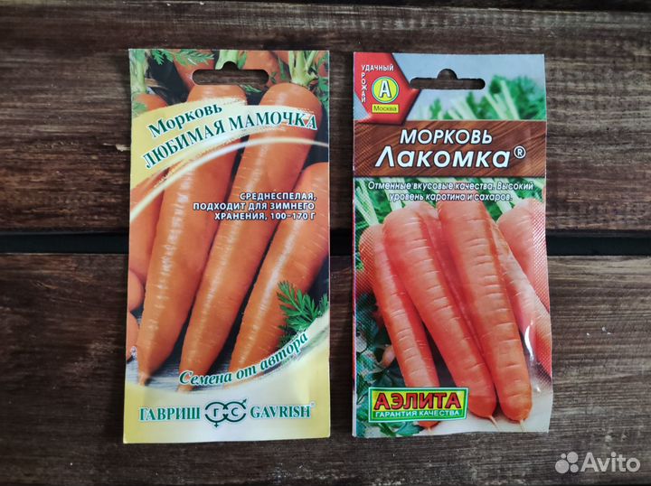 Семена Моркови