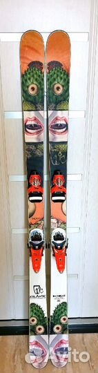 Горные лыжи