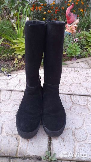 Сапоги женские