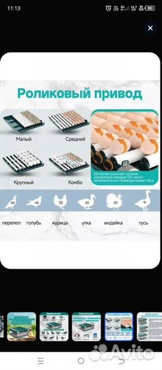 Инкубатор для яиц автоматический