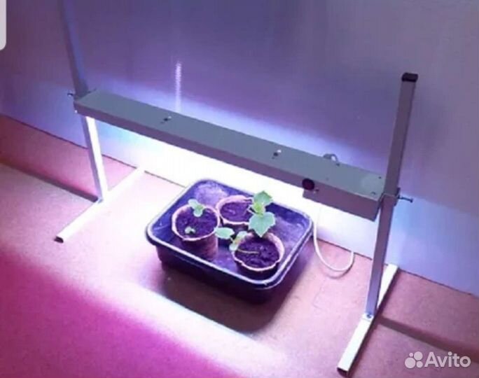 Для цветов и растений