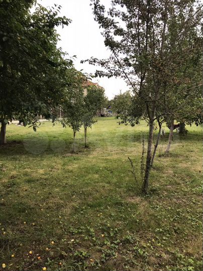 Участок 12 сот. (СНТ, ДНП)