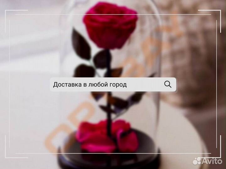 Розы в колбе разные