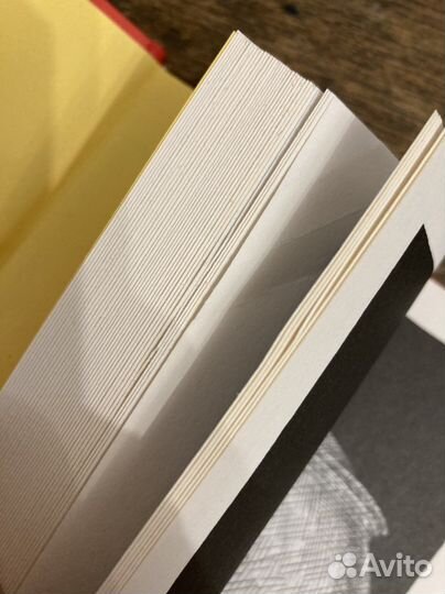 Оттолина и желтая кошка. Крис Ридделл