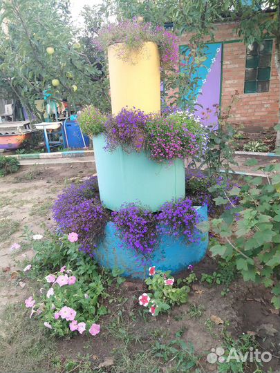 Цветочная клумба