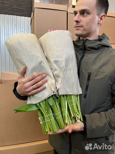 Тюльпаны опт к 8 марта