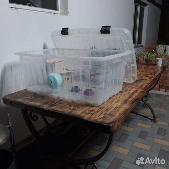 Контейнер большой для хомячков