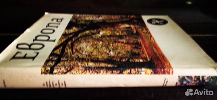 Кай Карри-Линдал 