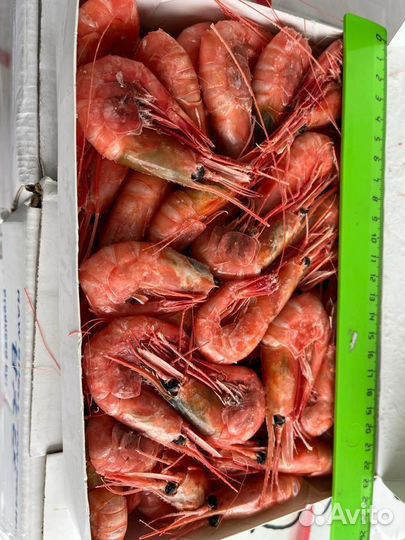 Креветки северные 60/80 70/90 80/100 90/120 150+