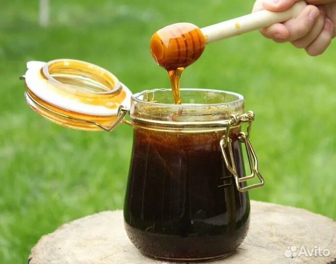 Мёд Гречиха