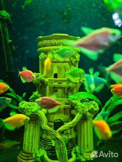 Аквариум с рыбками 150 литров