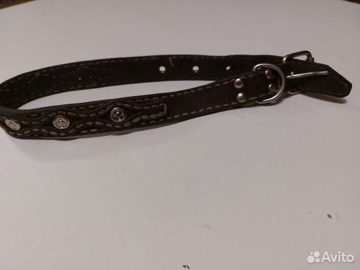 Собачий ошейник