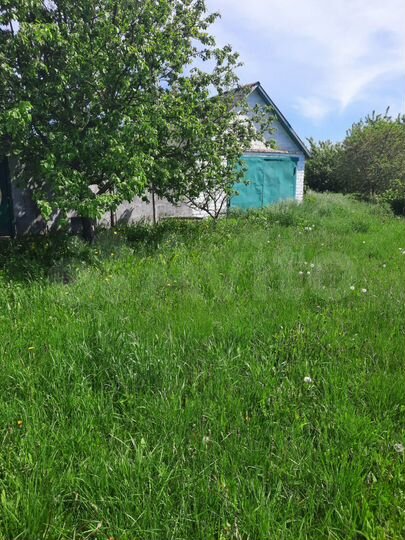 Дом 32,5 м² на участке 50 сот.